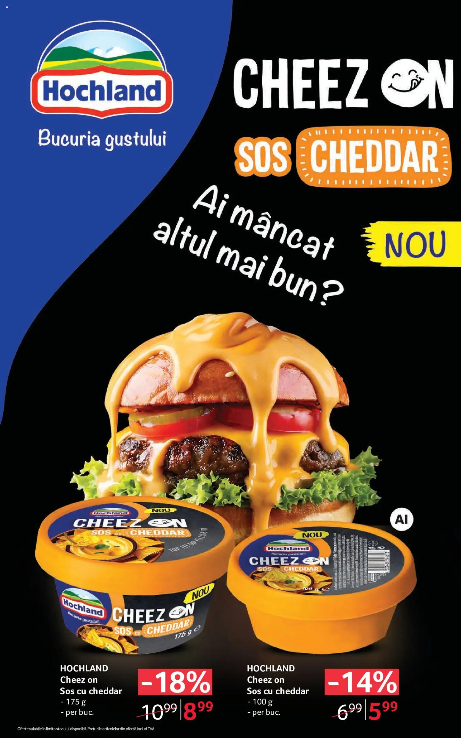 Catalog Selgros 2 - 14 Octombrie 2026 | Pagina 13 | Produse: Hochland, Sos