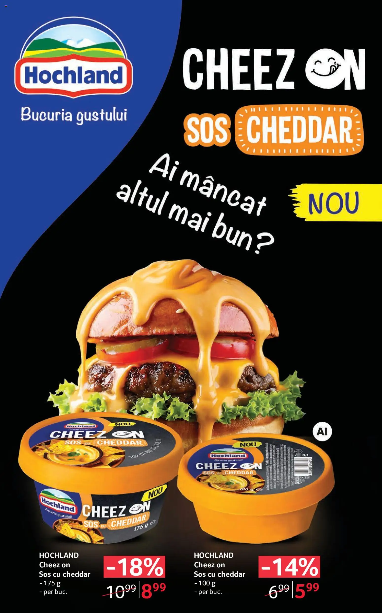 Catalog Selgros 2 - 14 Octombrie 2026 | Pagina 8 | Produse: Hochland, Sos