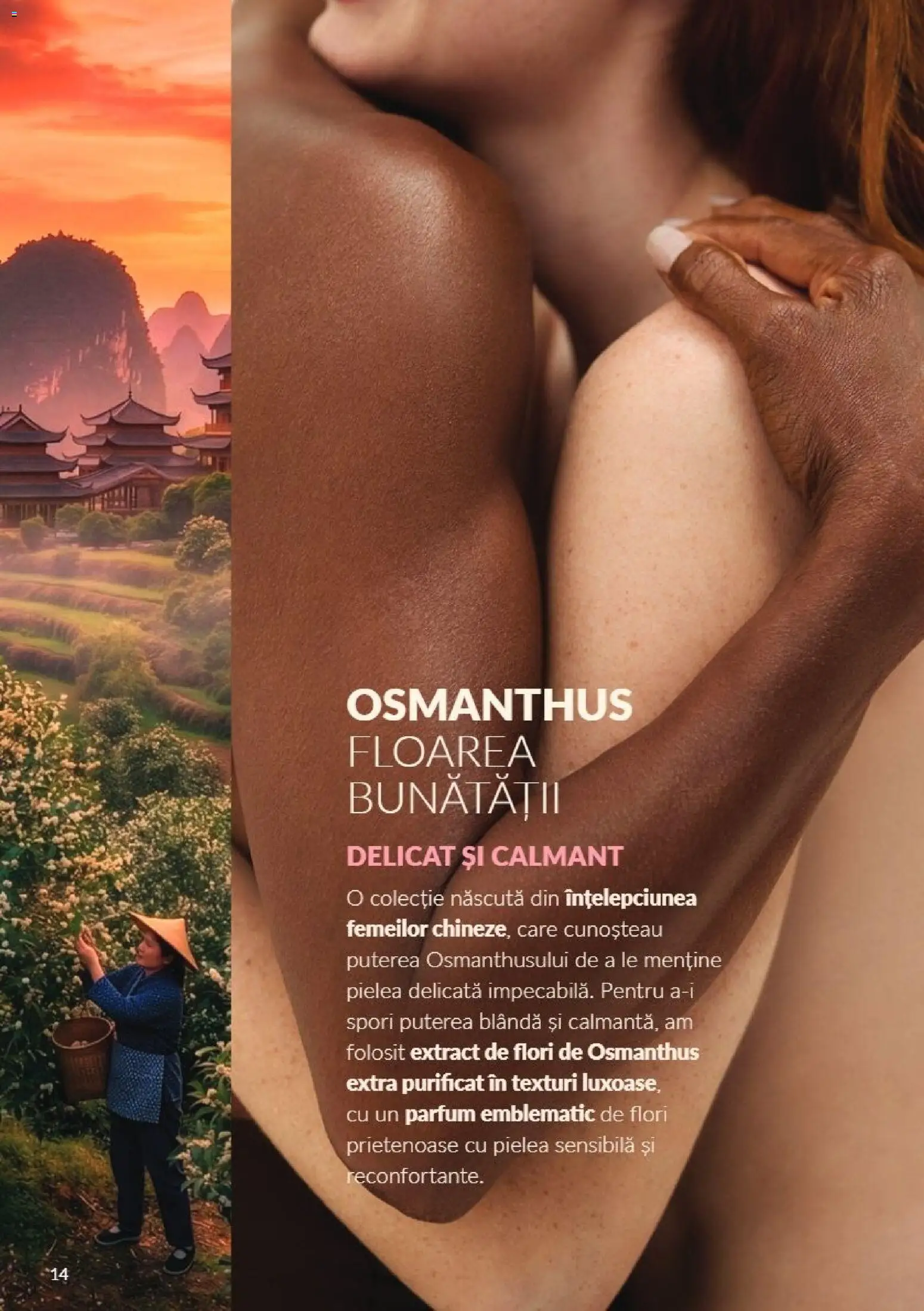 Catalog Avon 1 - 31 Octombrie 2026 | Pagina 14 | Produse: Parfum, Flori