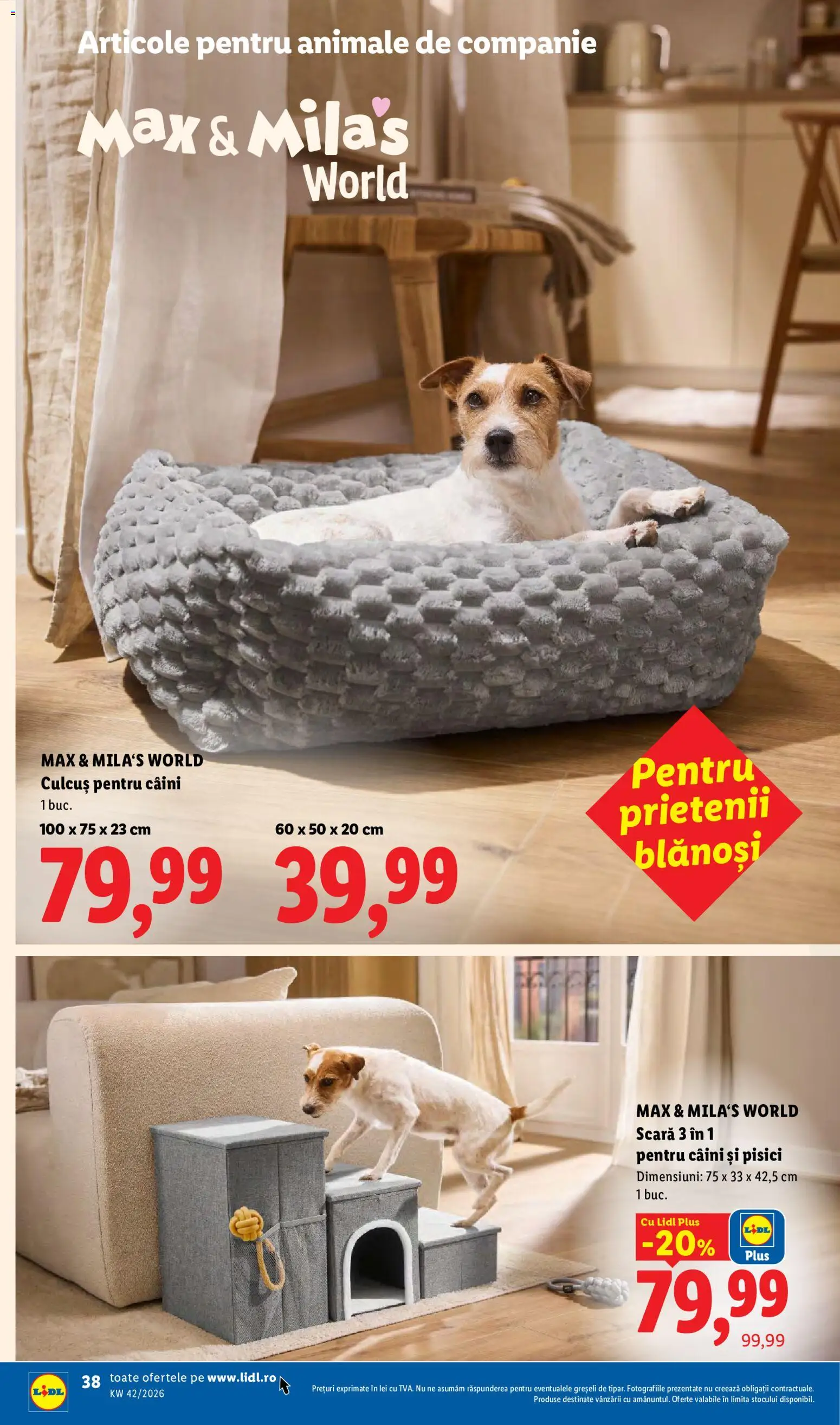 Catalog LIDL 12 - 17 Octombrie 2026 | Pagina 38 | Produse: Scară, Plus