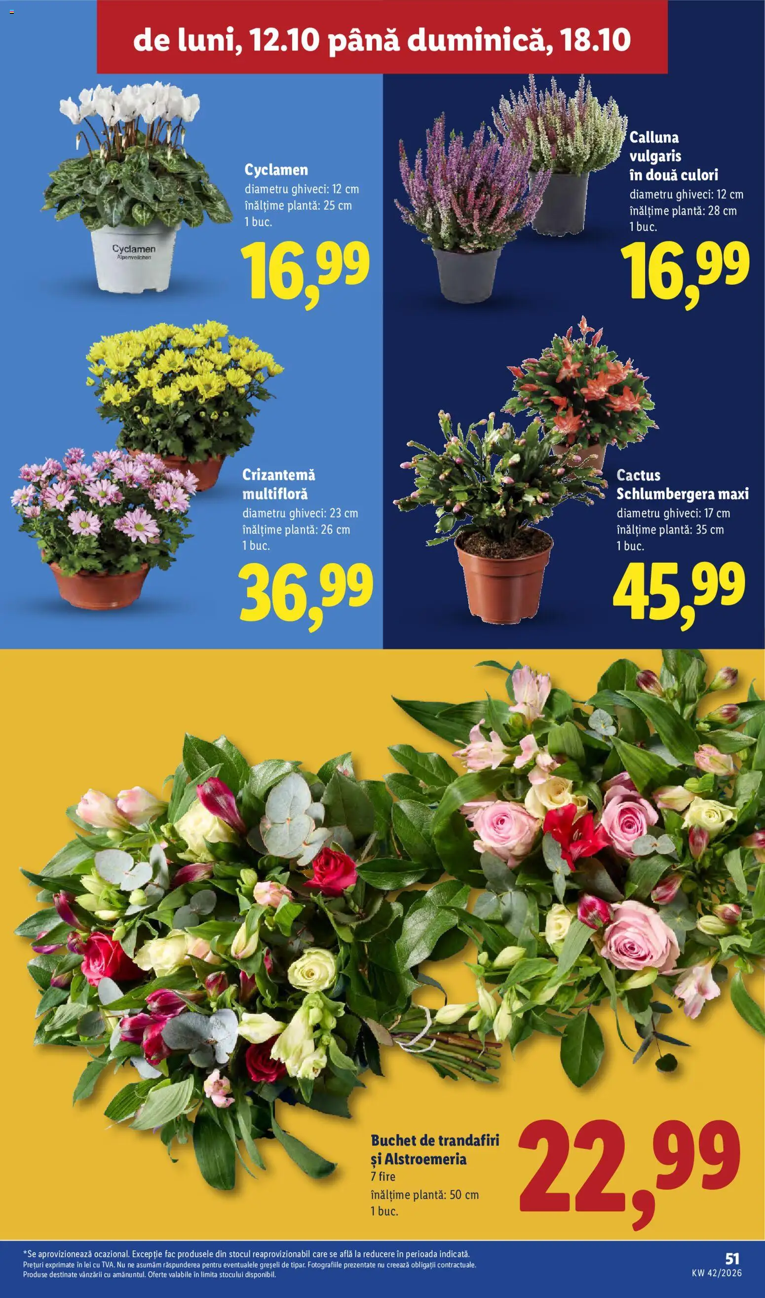 Catalog LIDL 12 - 17 Octombrie 2026 | Pagina 51 | Produse: Ghiveci