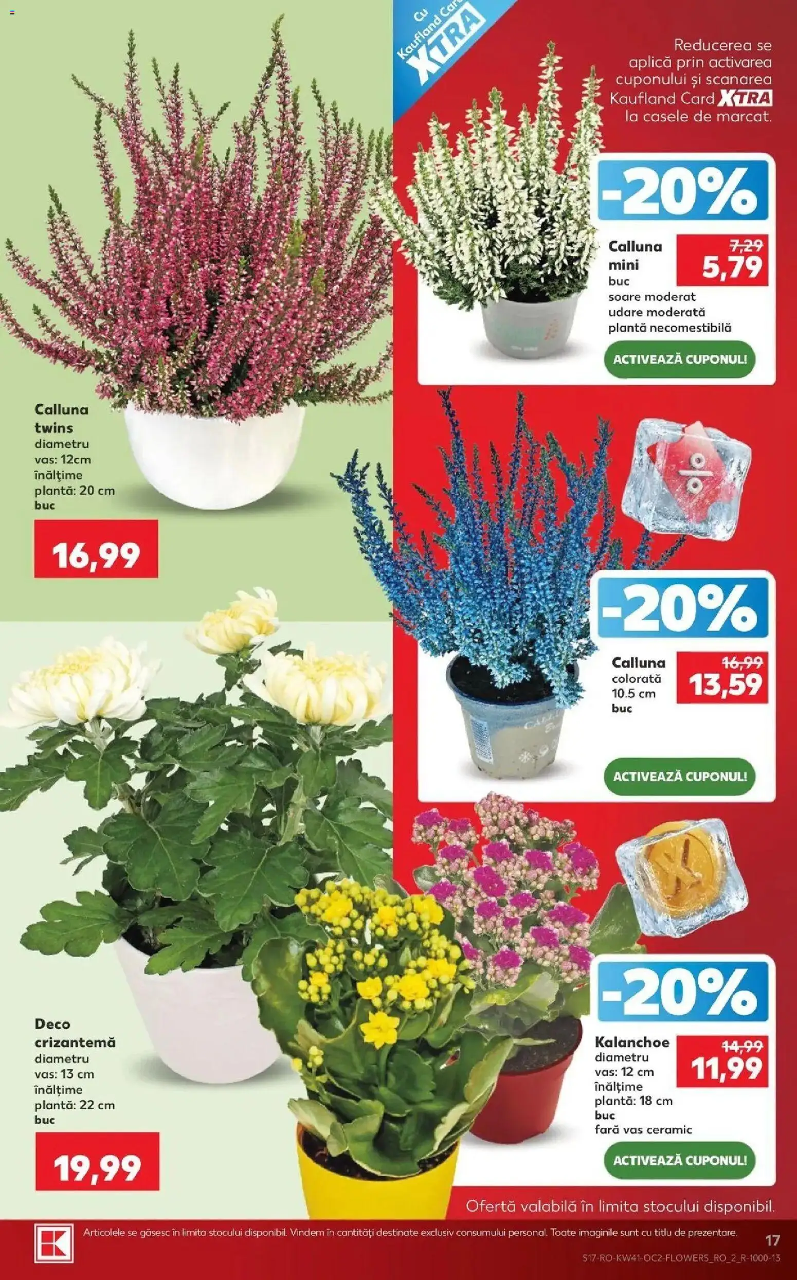 Catalog Kaufland 7 - 12 Octombrie 2026 | Pagina 17 | Produse: Aplică