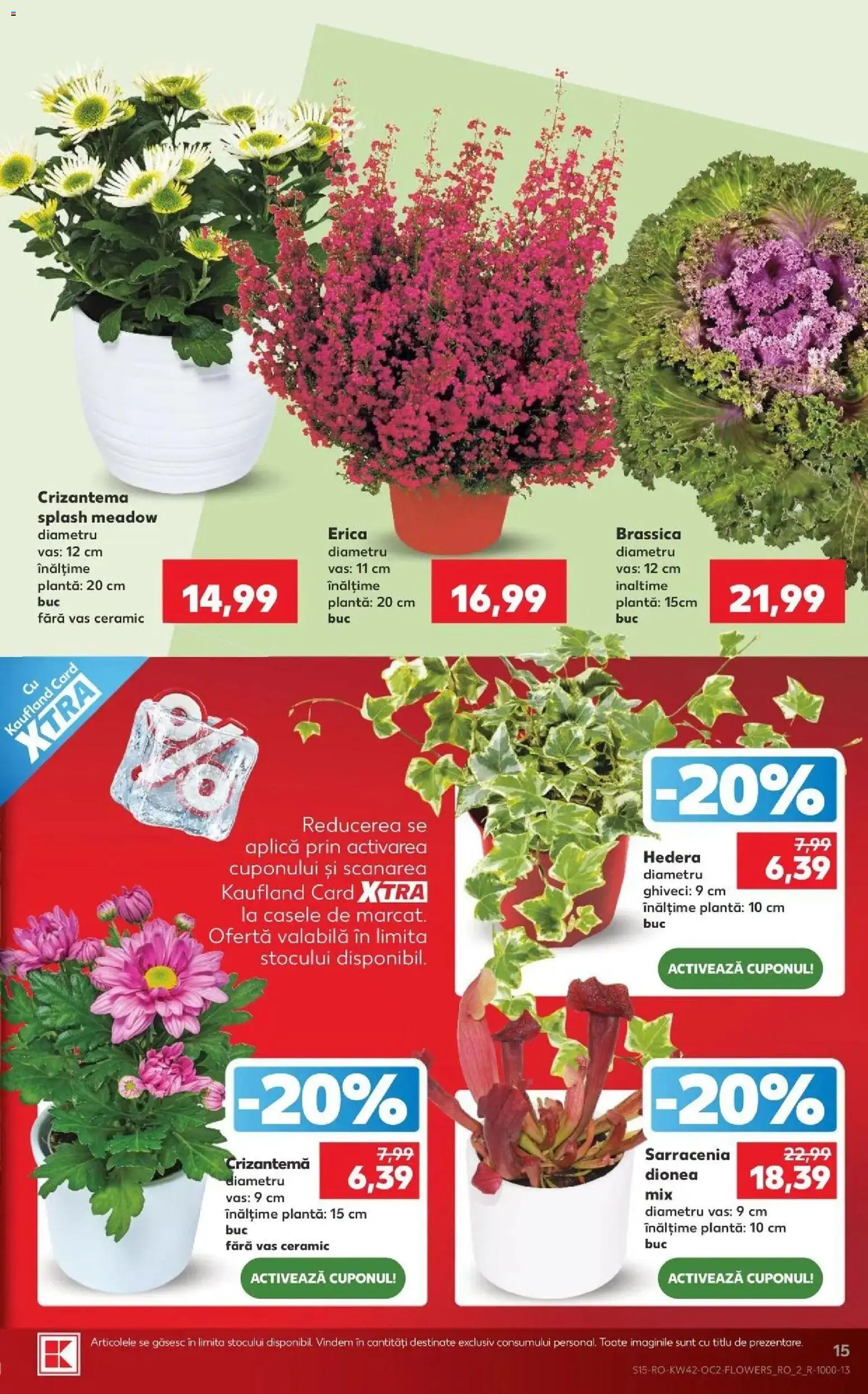 Catalog Kaufland 14 - 19 Octombrie 2026 | Pagina 15 | Produse: Aplică, Ghiveci