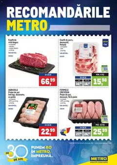 Catalog METRO