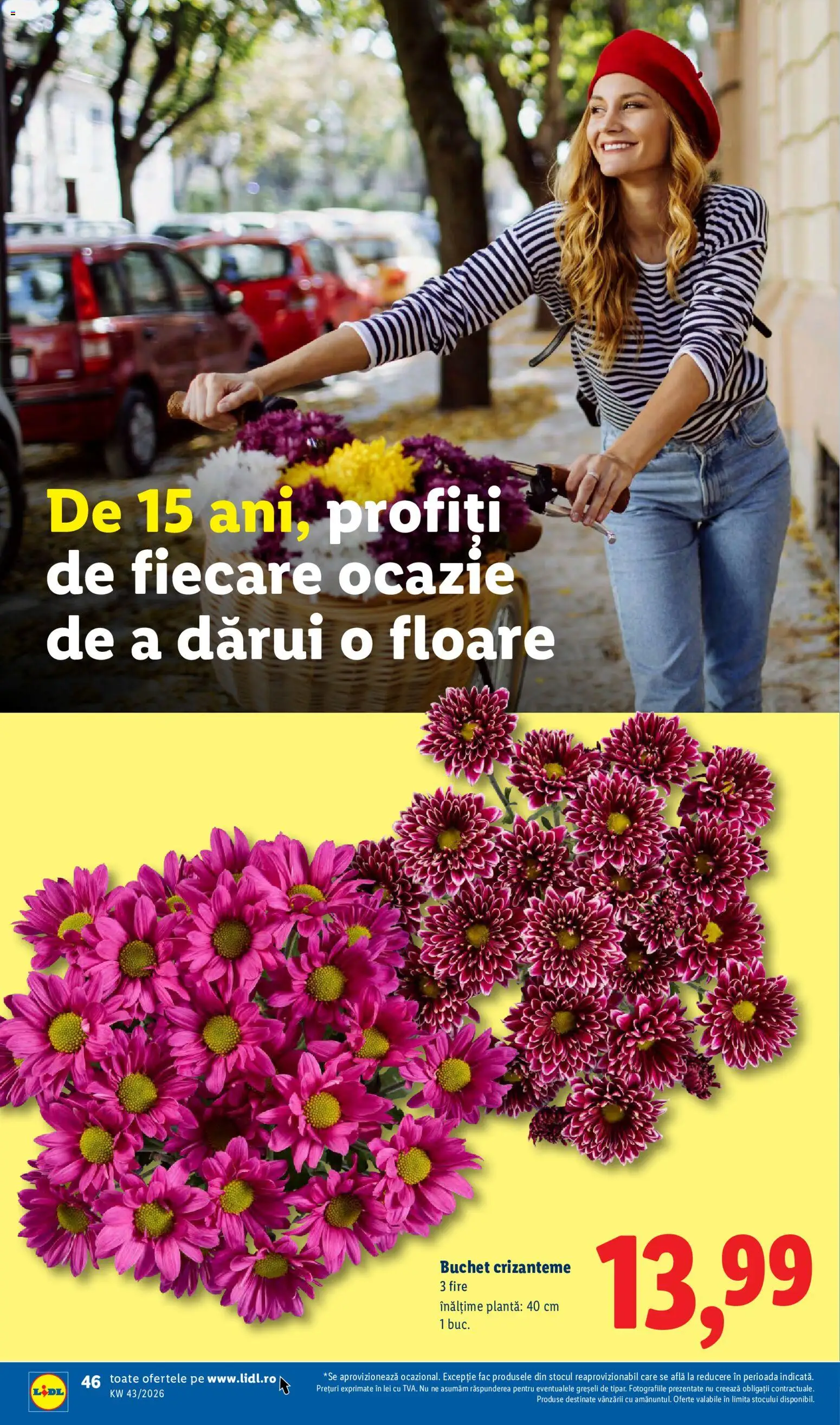 Catalog LIDL 19 - 24 Octombrie 2026 | Pagina 46