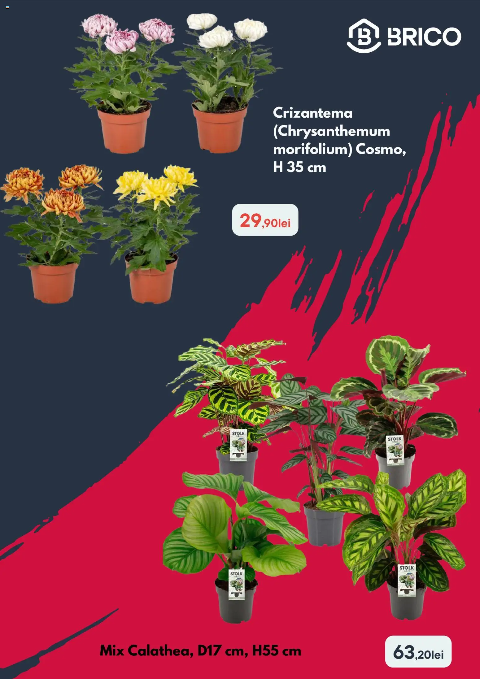 Catalog Brico Depot 15 - 27 Octombrie 2026 | Pagina 3