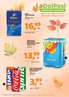 Catalog LaDoiPași
