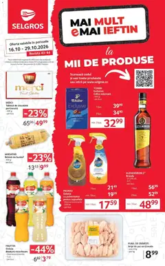 Catalog Selgros