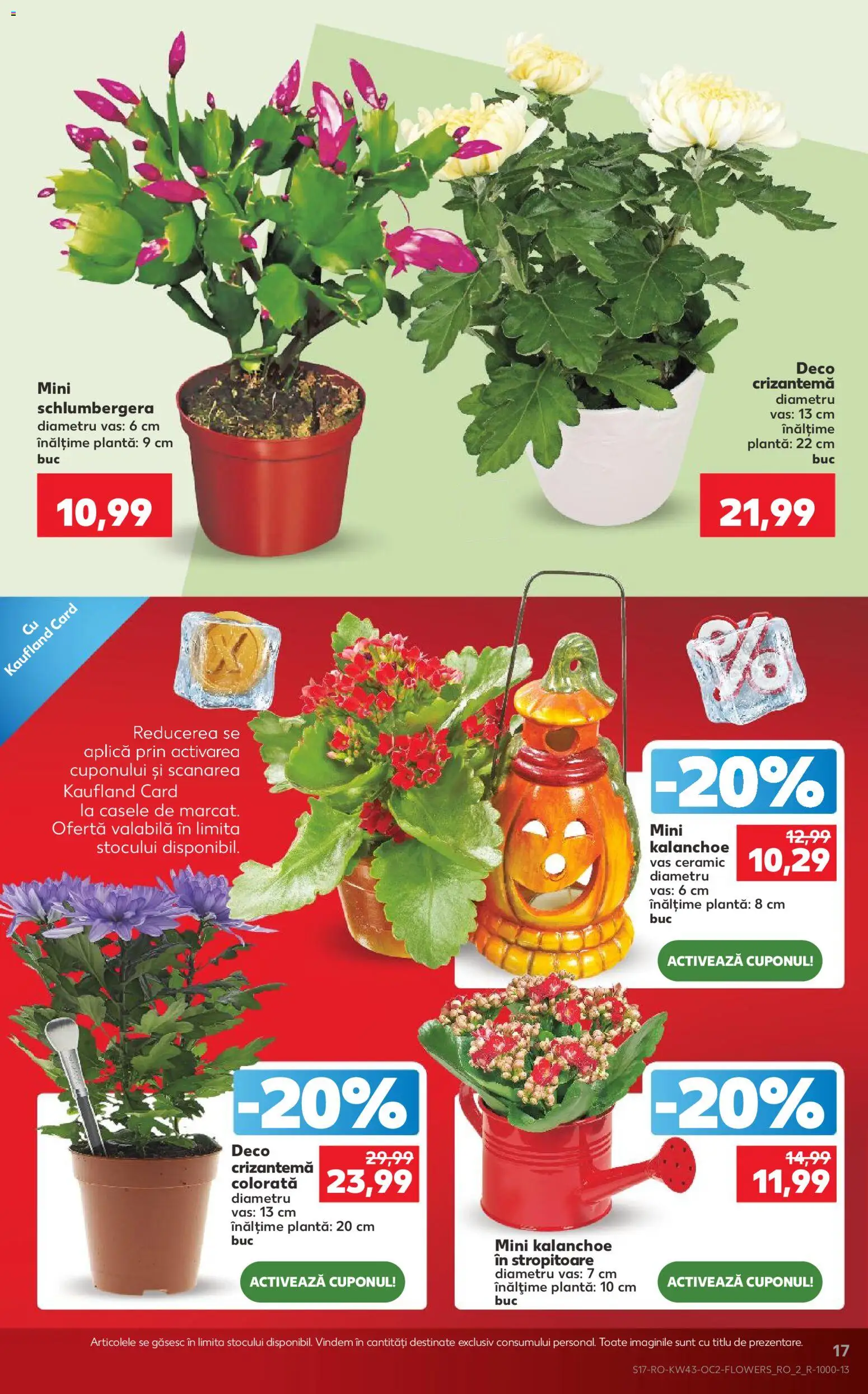 Catalog Kaufland 21 - 26 Octombrie 2026 | Pagina 17 | Produse: Aplică