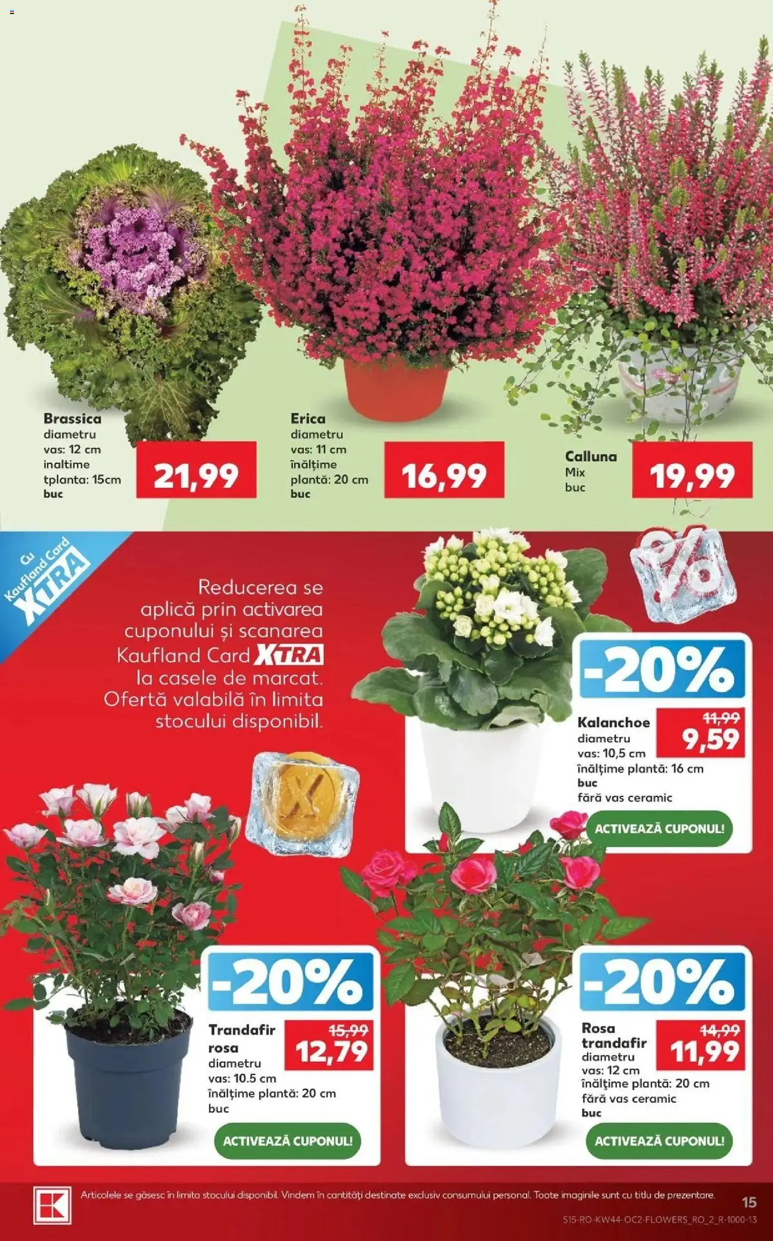 Catalog Kaufland 28 Octombrie - 2 Noiembrie 2026 | Pagina 15 | Produse: Aplică, Trandafir