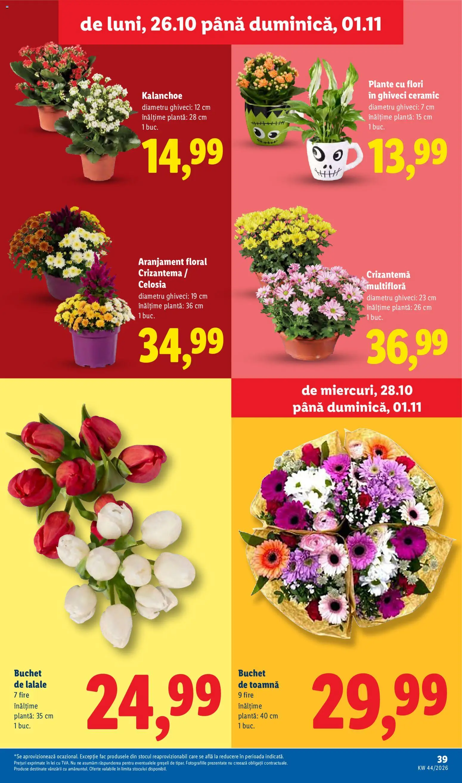 Catalog LIDL 26 - 31 Octombrie 2026 | Pagina 39 | Produse: Ghiveci, Flori