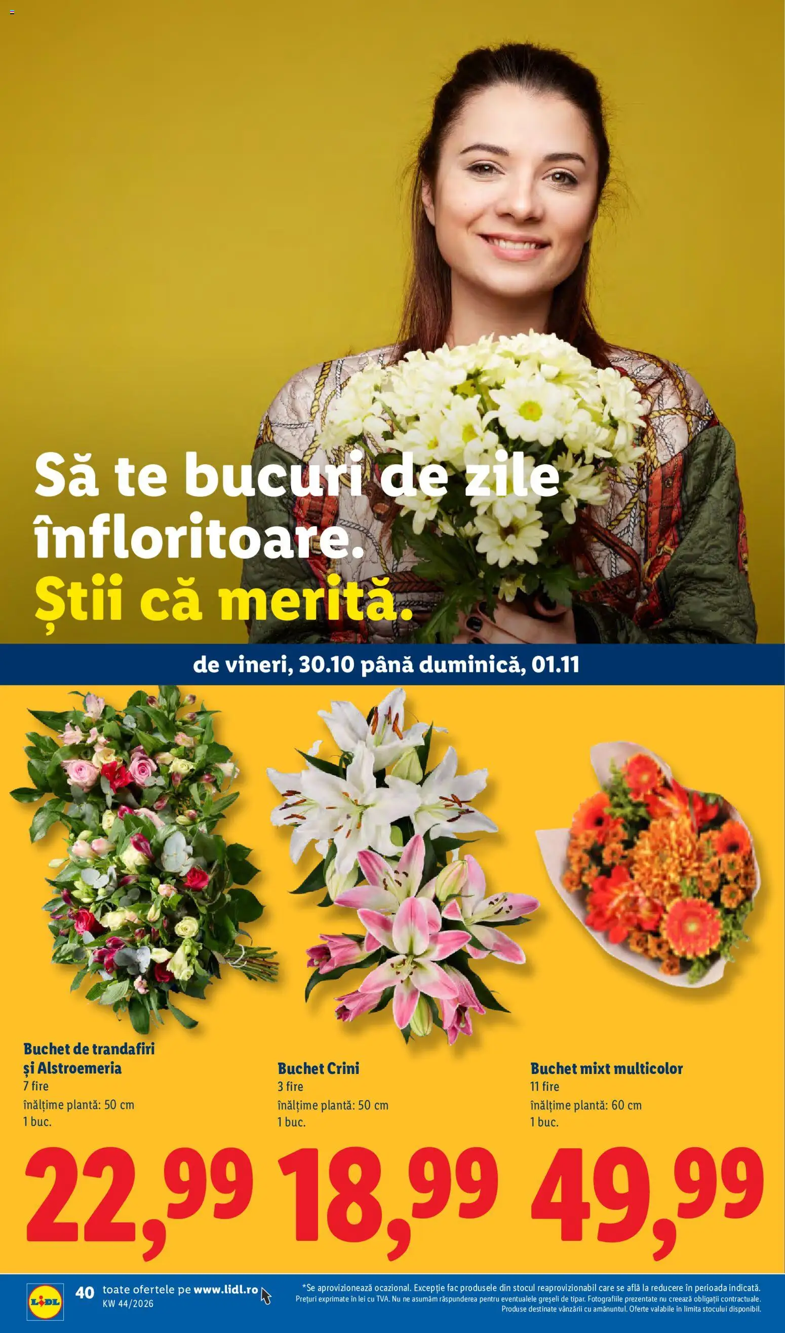 Catalog LIDL 26 - 31 Octombrie 2026 | Pagina 40