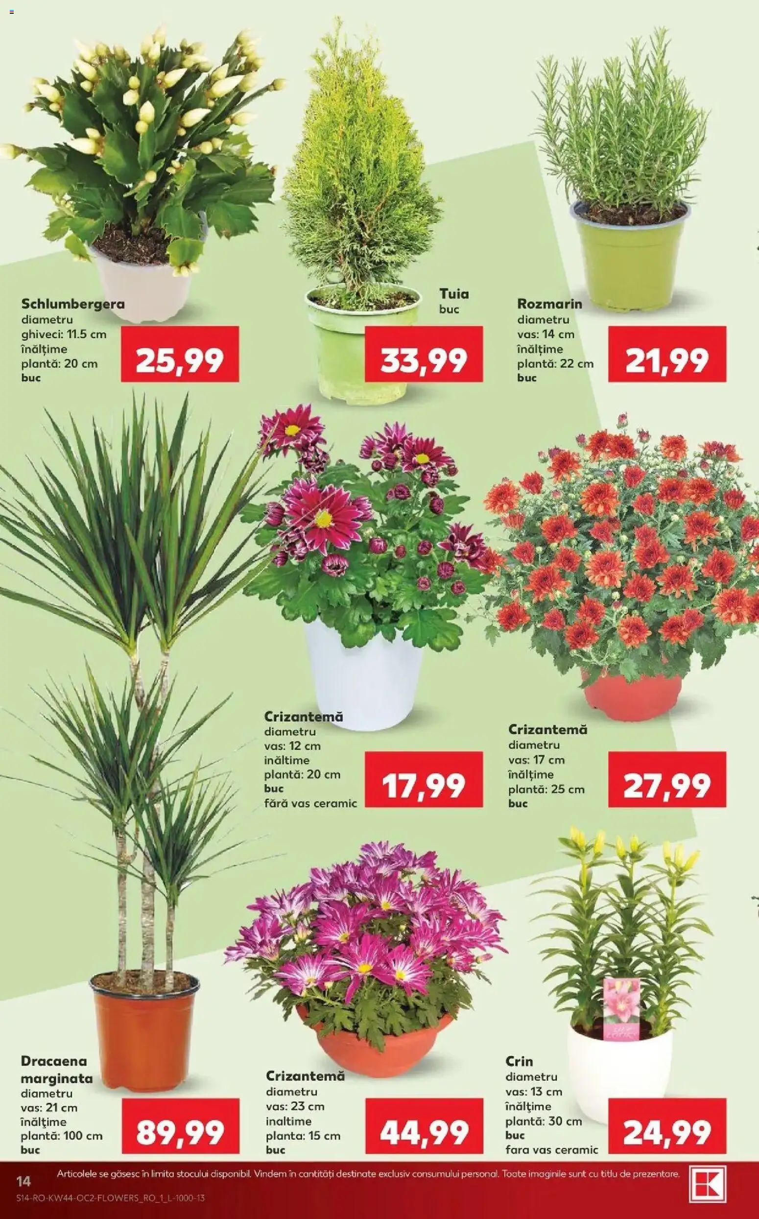 Catalog Kaufland 28 Octombrie - 2 Noiembrie 2026 | Pagina 14 | Produse: Ghiveci