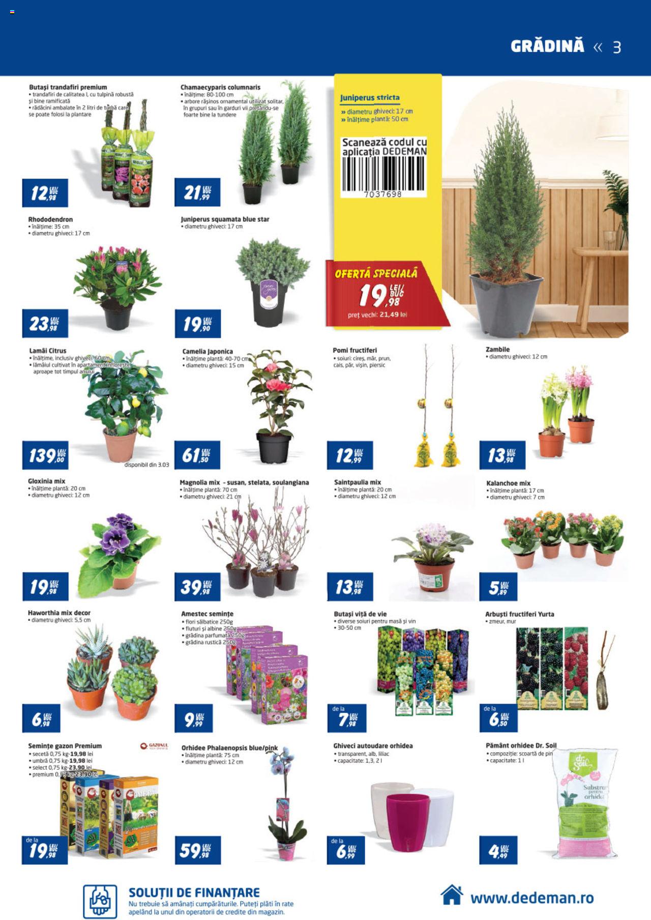Catalog Dedeman 27 Februarie - 25 Martie 2020 | Pagina 3
