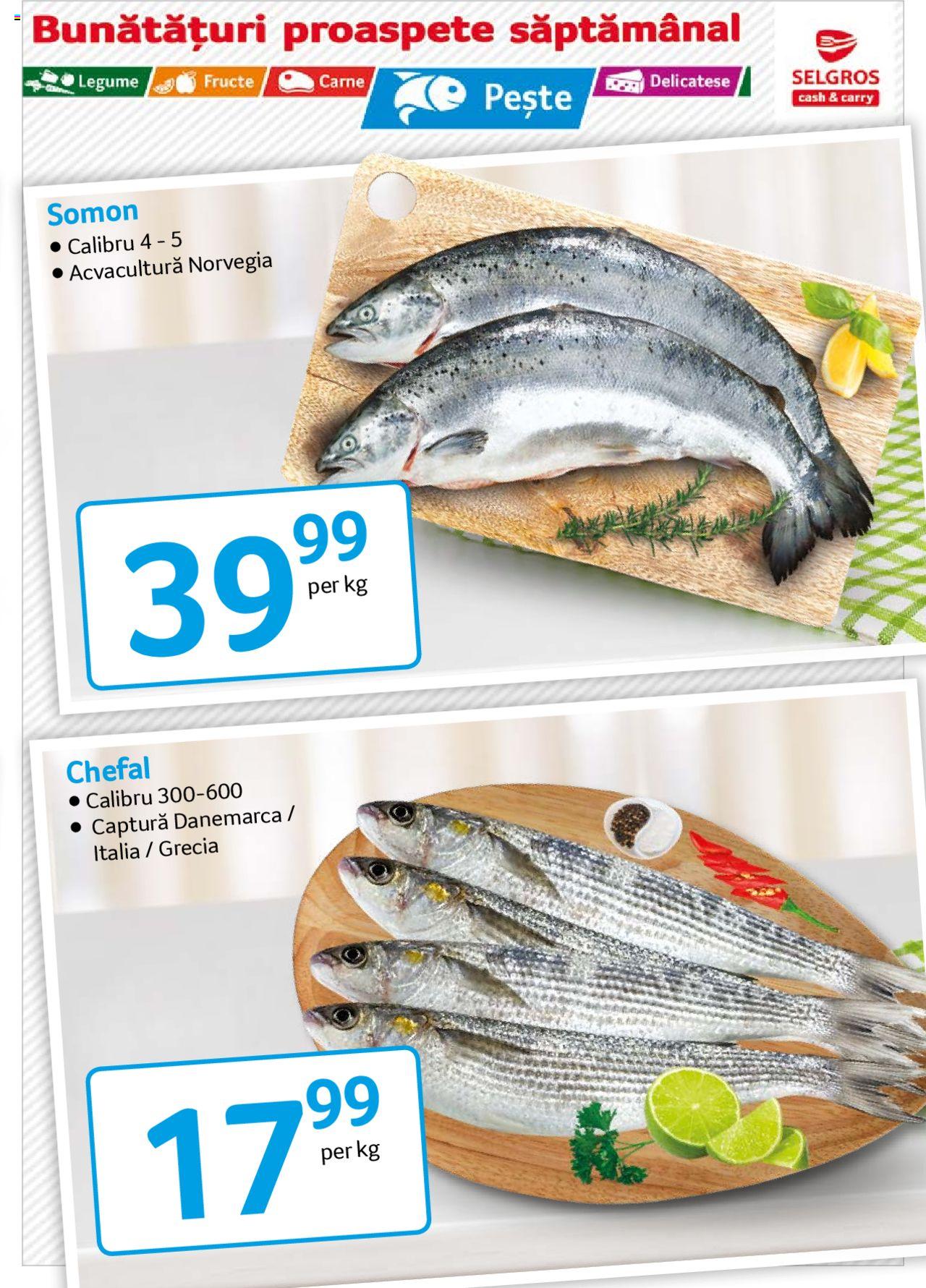Catalog Selgros 13 - 19 Martie 2020 | Pagina 3