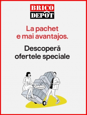 Catalog Brico Depot