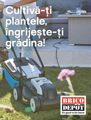 Catalog Brico Depot