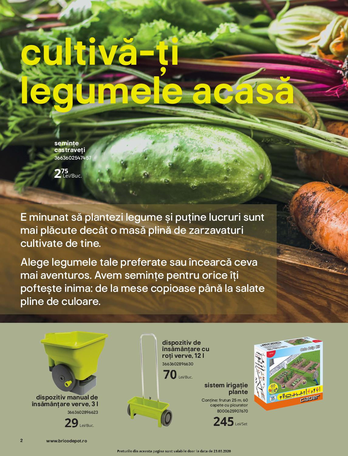 Catalog Brico Depot 20 Martie - 15 Aprilie 2020 | Pagina 2