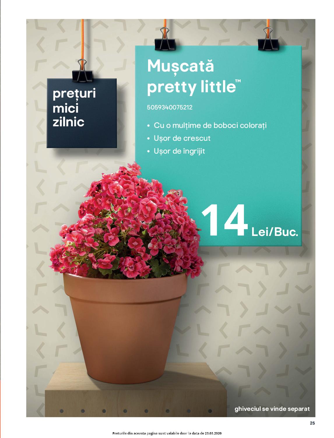 Catalog Brico Depot 20 Martie - 15 Aprilie 2020 | Pagina 25