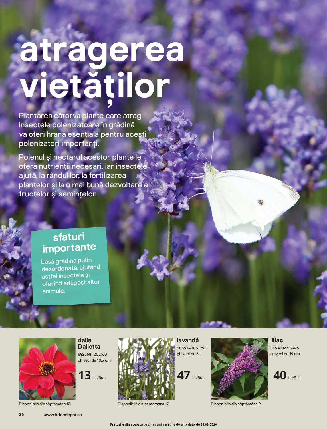 Catalog Brico Depot 20 Martie - 15 Aprilie 2020 | Pagina 26