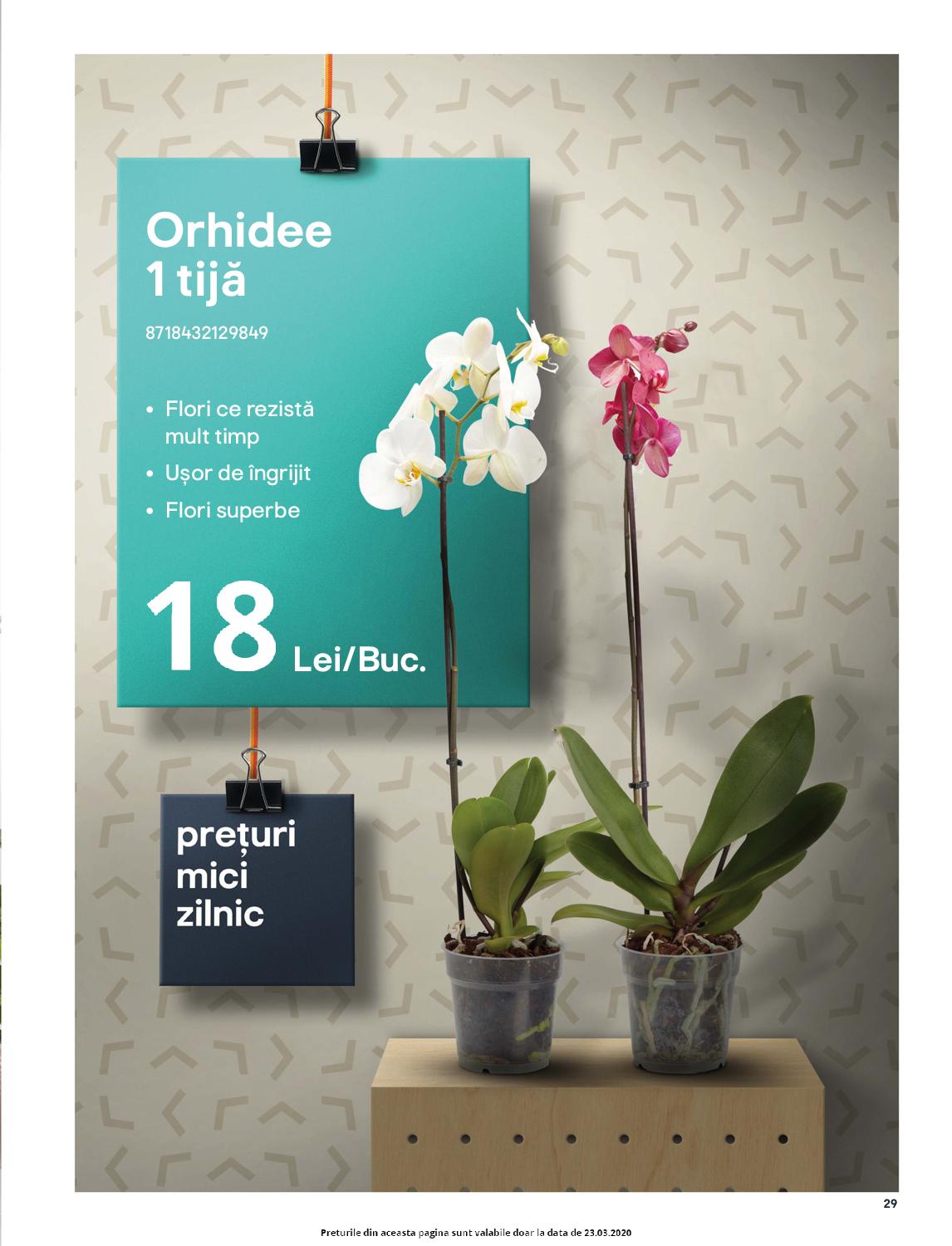 Catalog Brico Depot 20 Martie - 15 Aprilie 2020 | Pagina 29