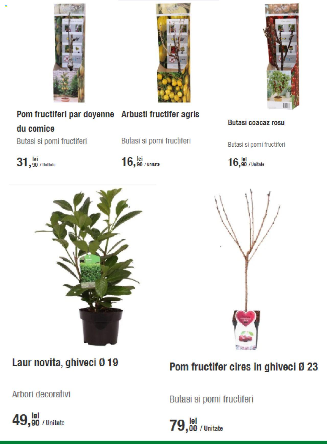 Catalog Leroy Merlin 19 Martie - 3 Aprilie 2020 | Pagina 2