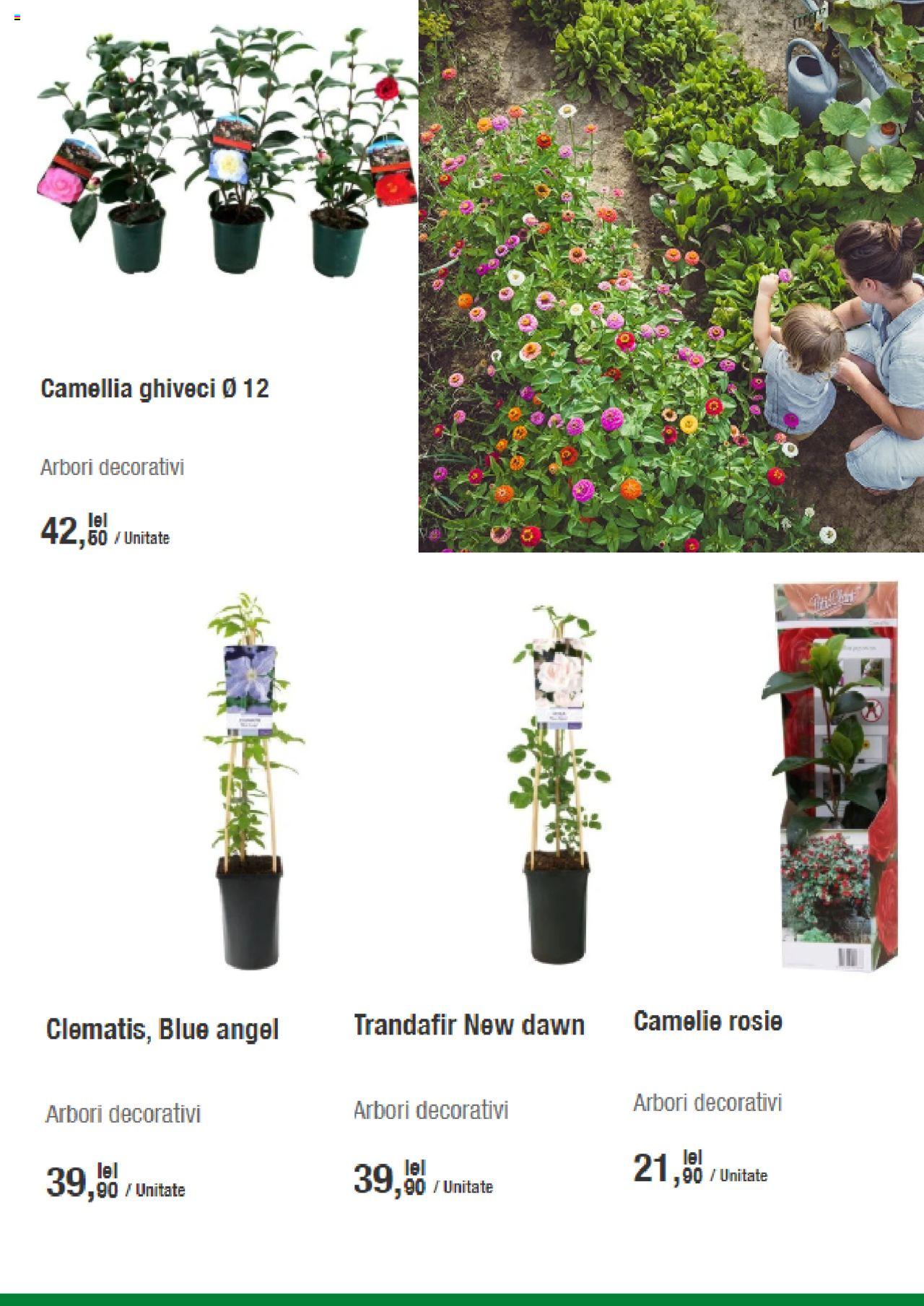 Catalog Leroy Merlin 19 Martie - 3 Aprilie 2020 | Pagina 6