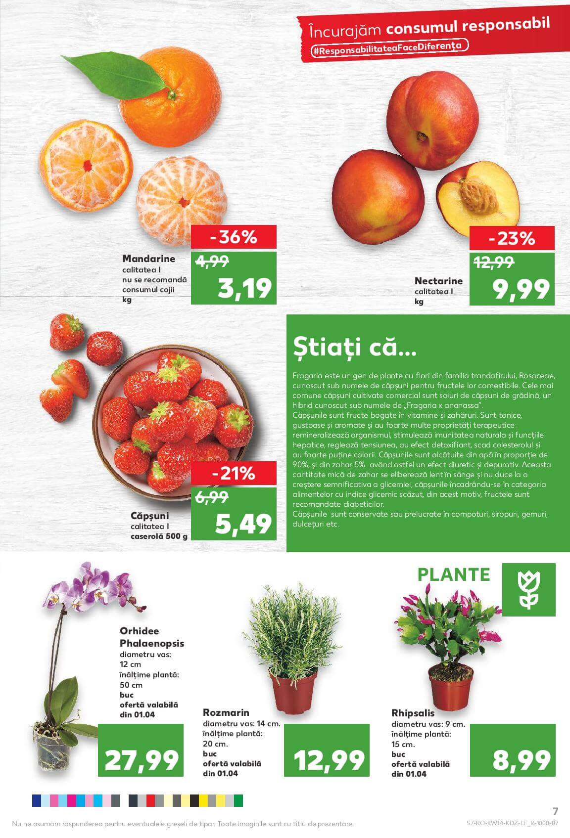 Catalog kaufland 17 aprilie 2020