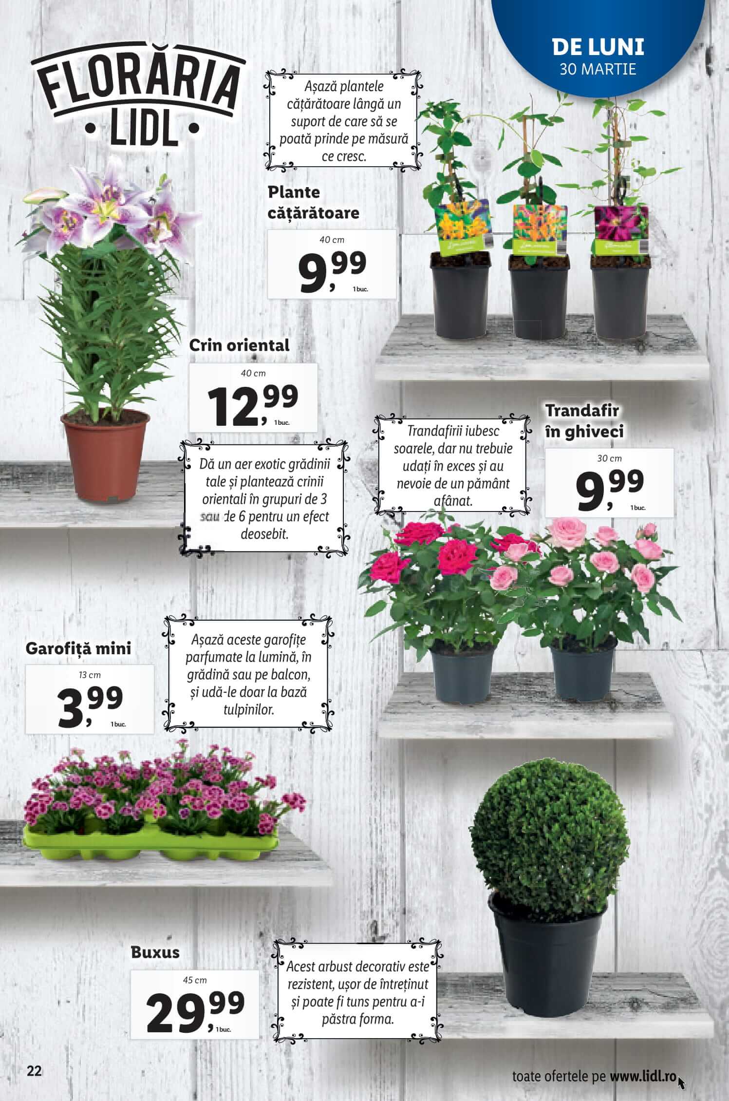 Catalog LIDL 30 Martie - 5 Aprilie 2020 | Pagina 22