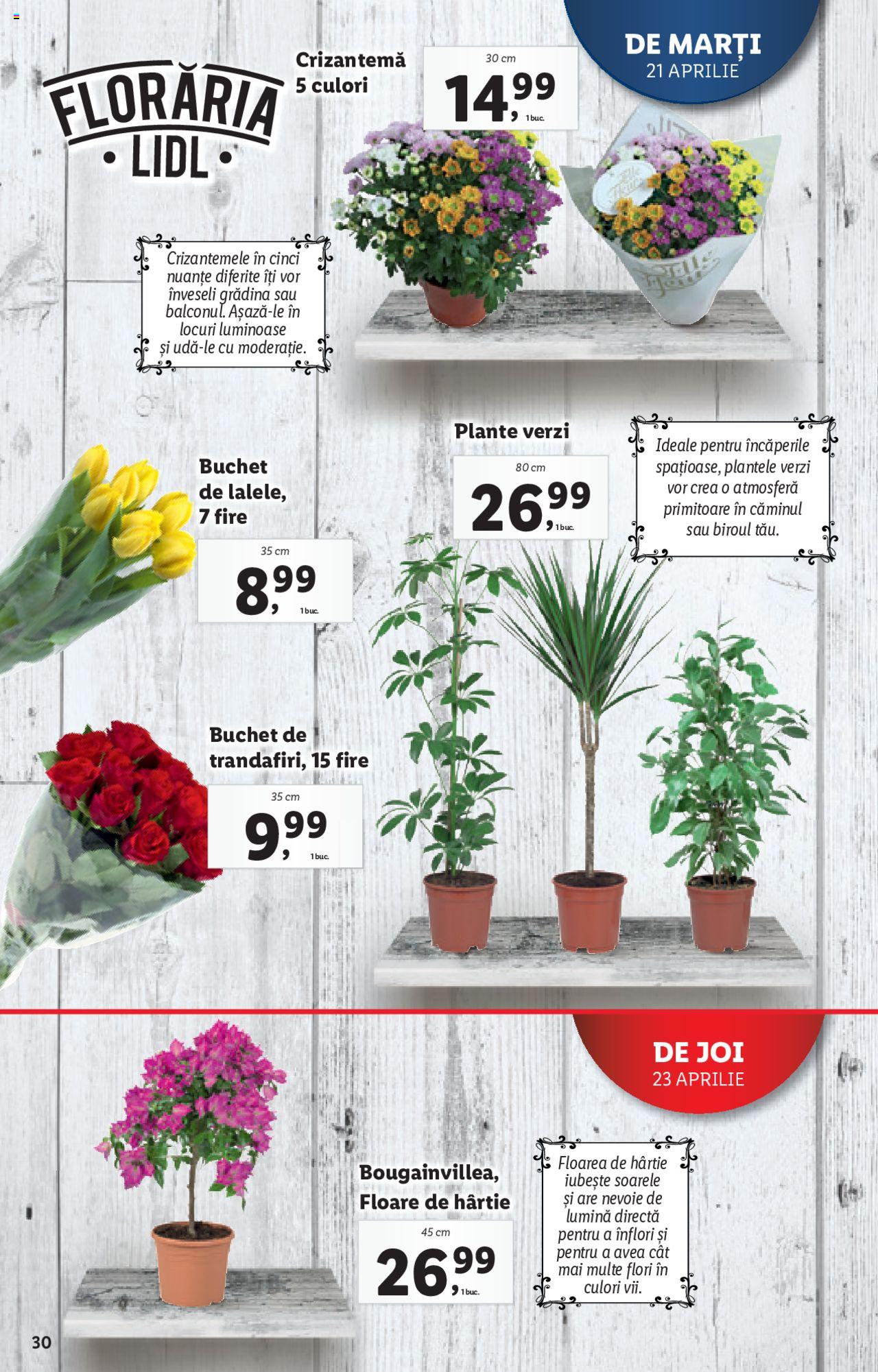 Catalog LIDL 21 - 26 Aprilie 2020 | Pagina 30