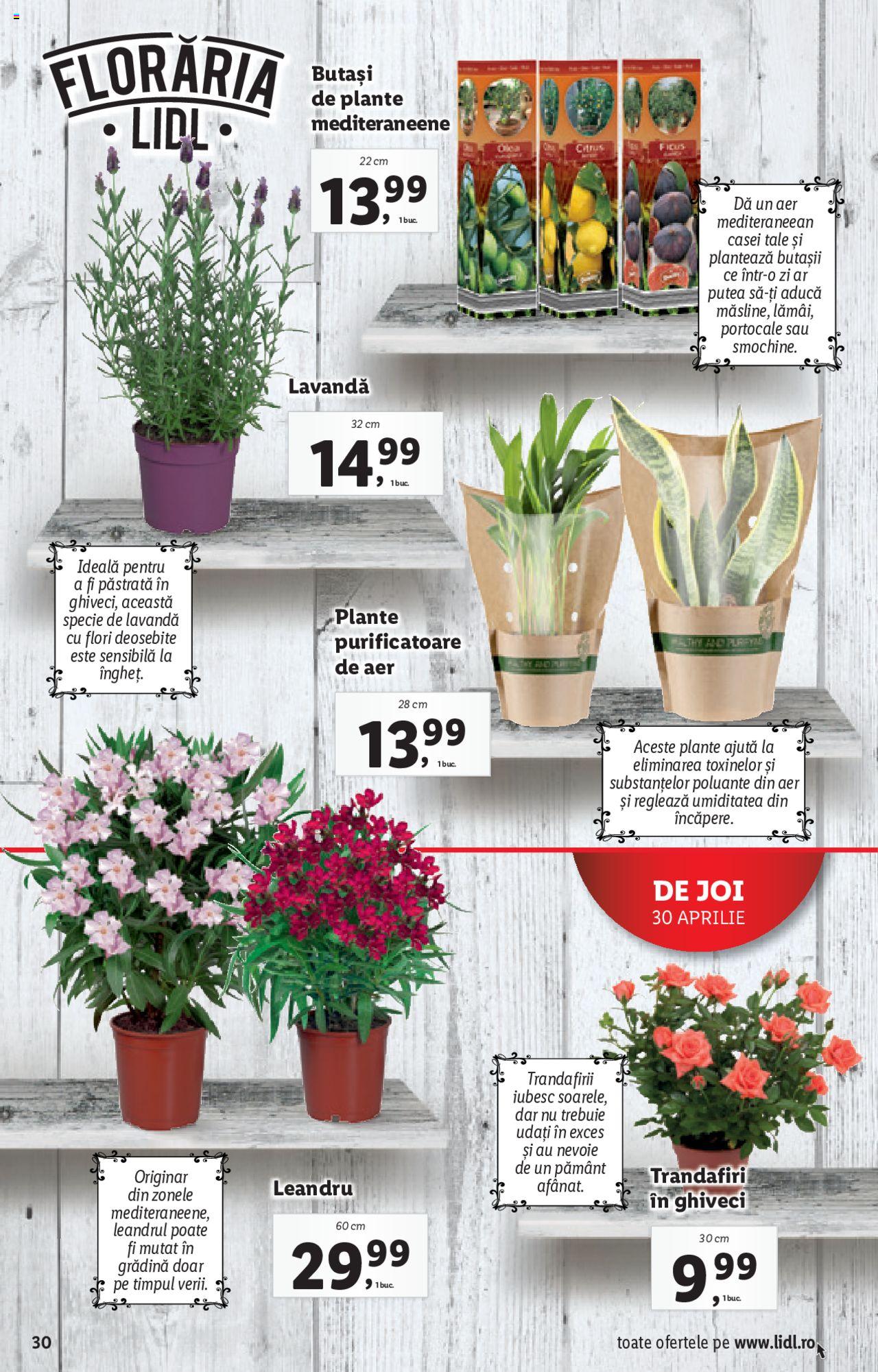 Catalog LIDL 27 Aprilie - 3 Mai 2020 | Pagina 30