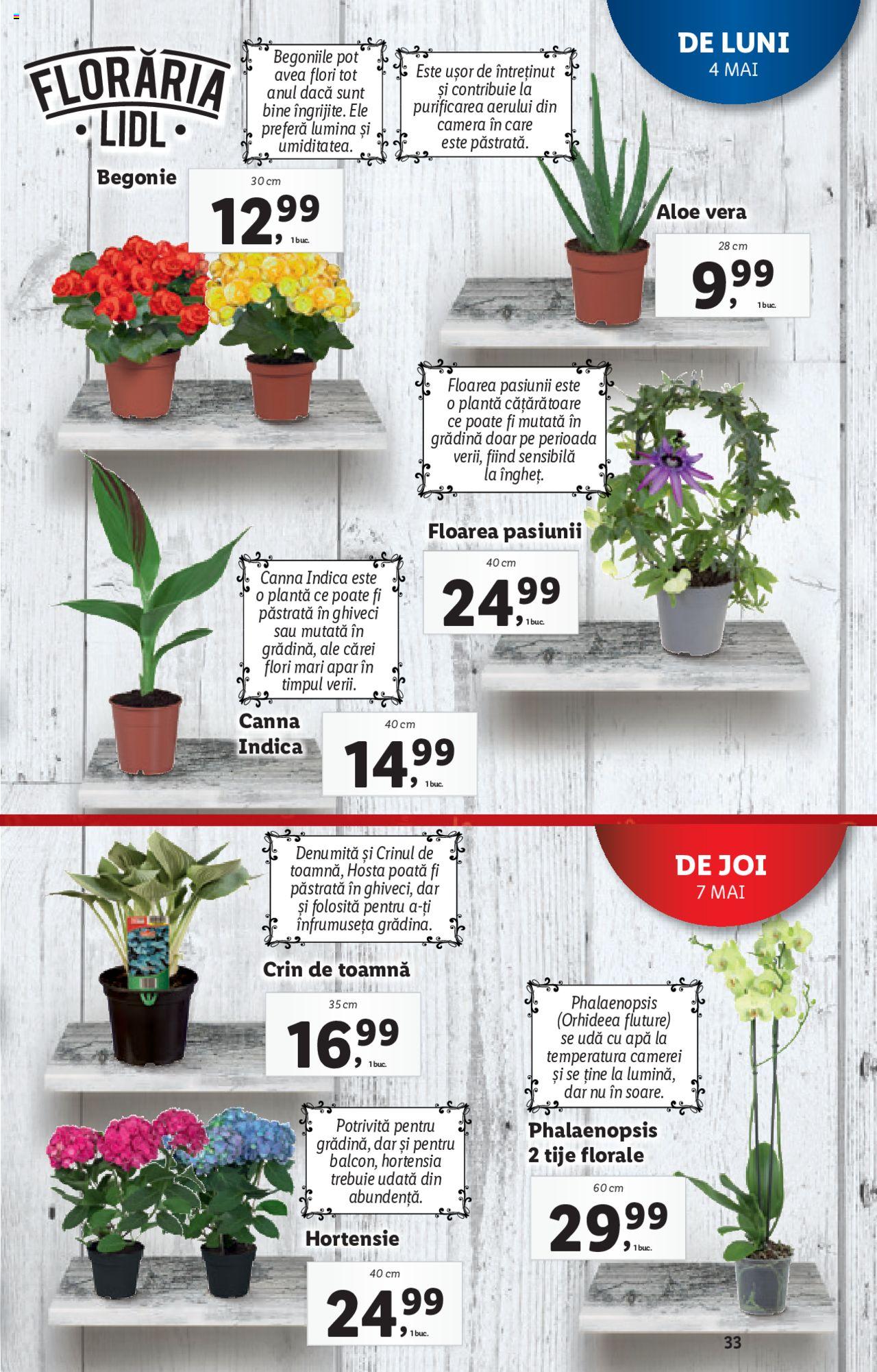 Catalog LIDL 4 - 10 Mai 2020 | Pagina 33