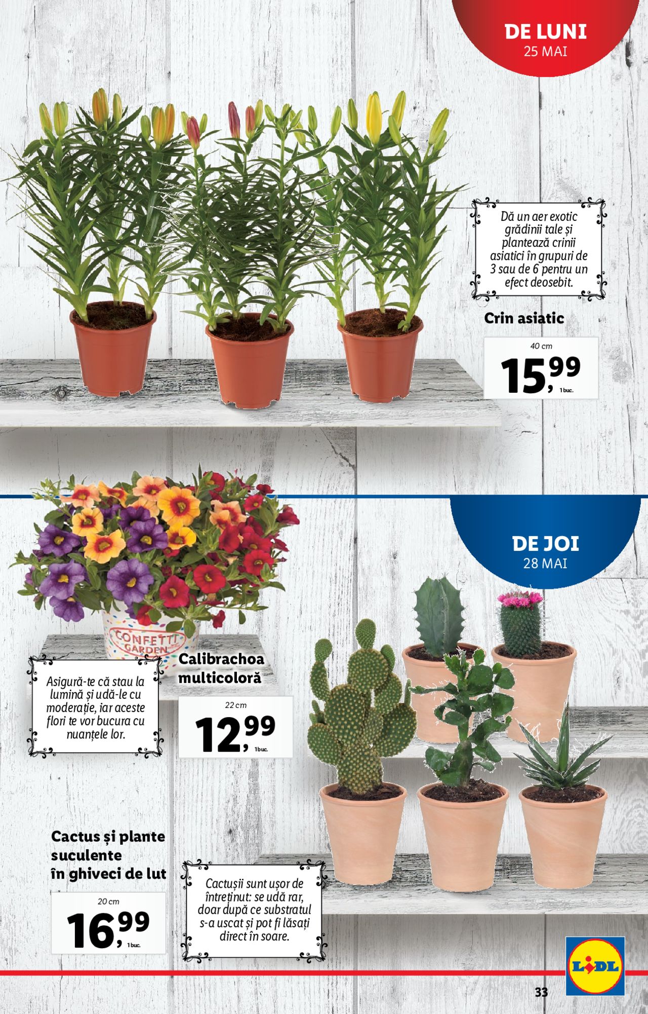 Catalog LIDL 25 - 31 Mai 2020 | Pagina 33