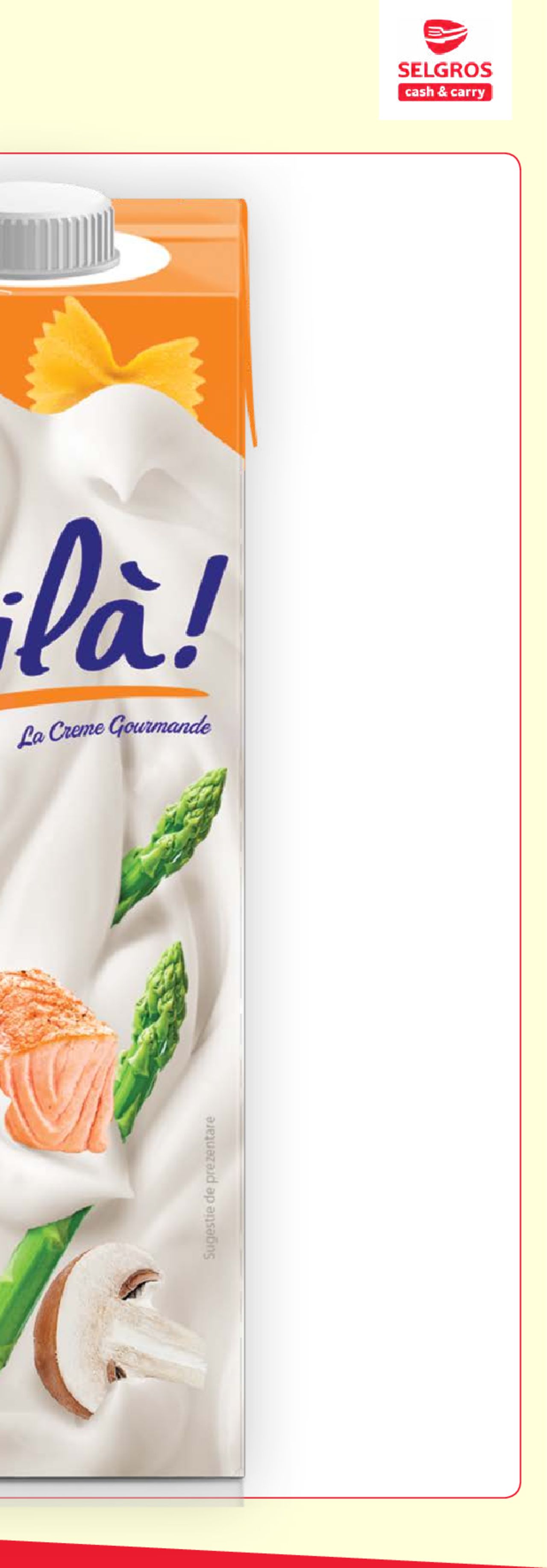 Catalog Selgros 22 - 28 Mai 2020 | Pagina 17