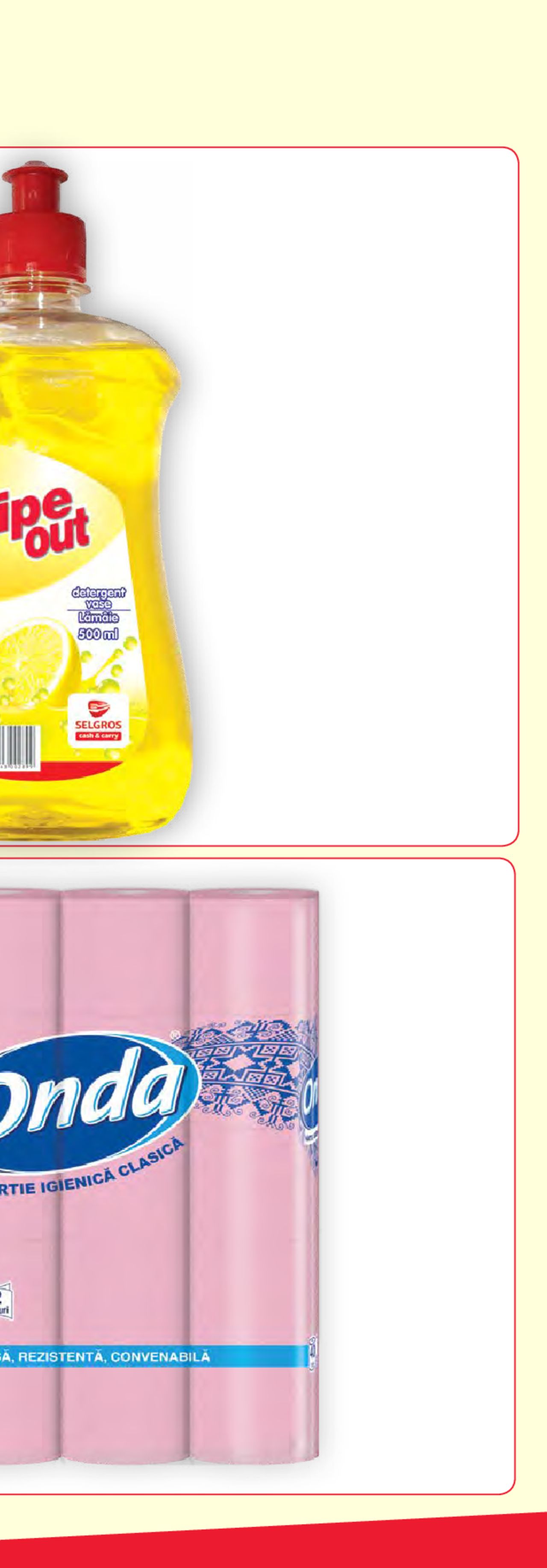 Catalog Selgros 22 - 28 Mai 2020 | Pagina 23