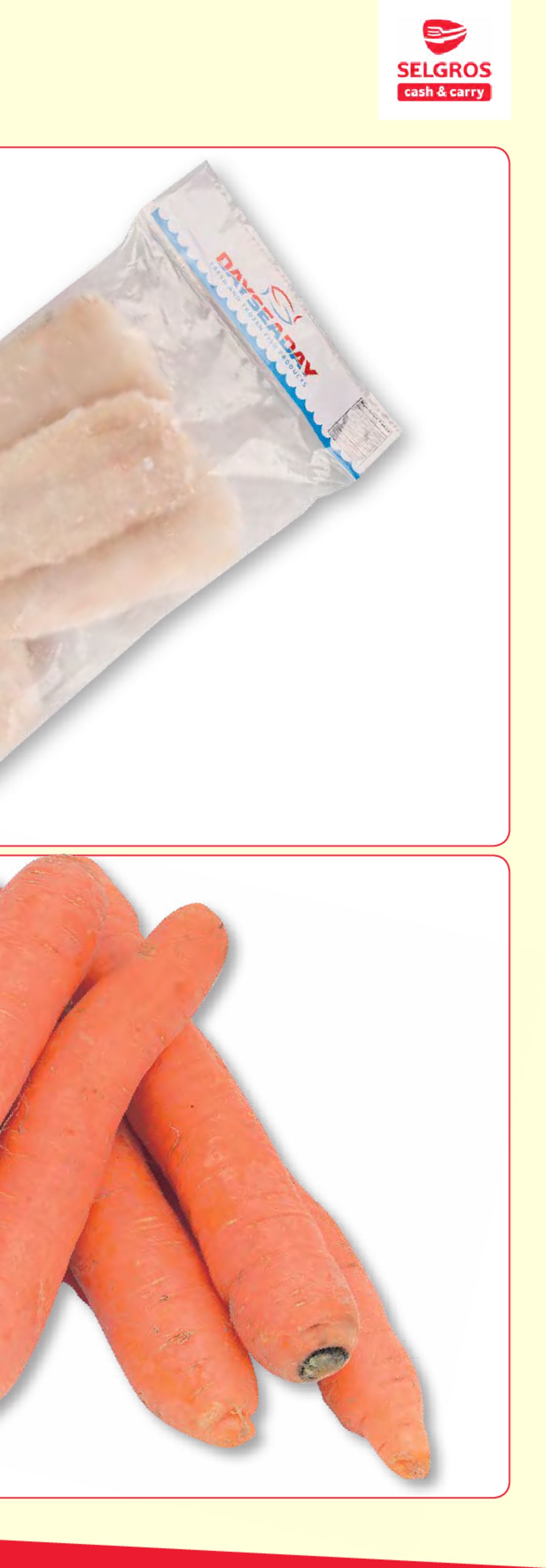 Catalog Selgros 22 - 28 Mai 2020 | Pagina 5