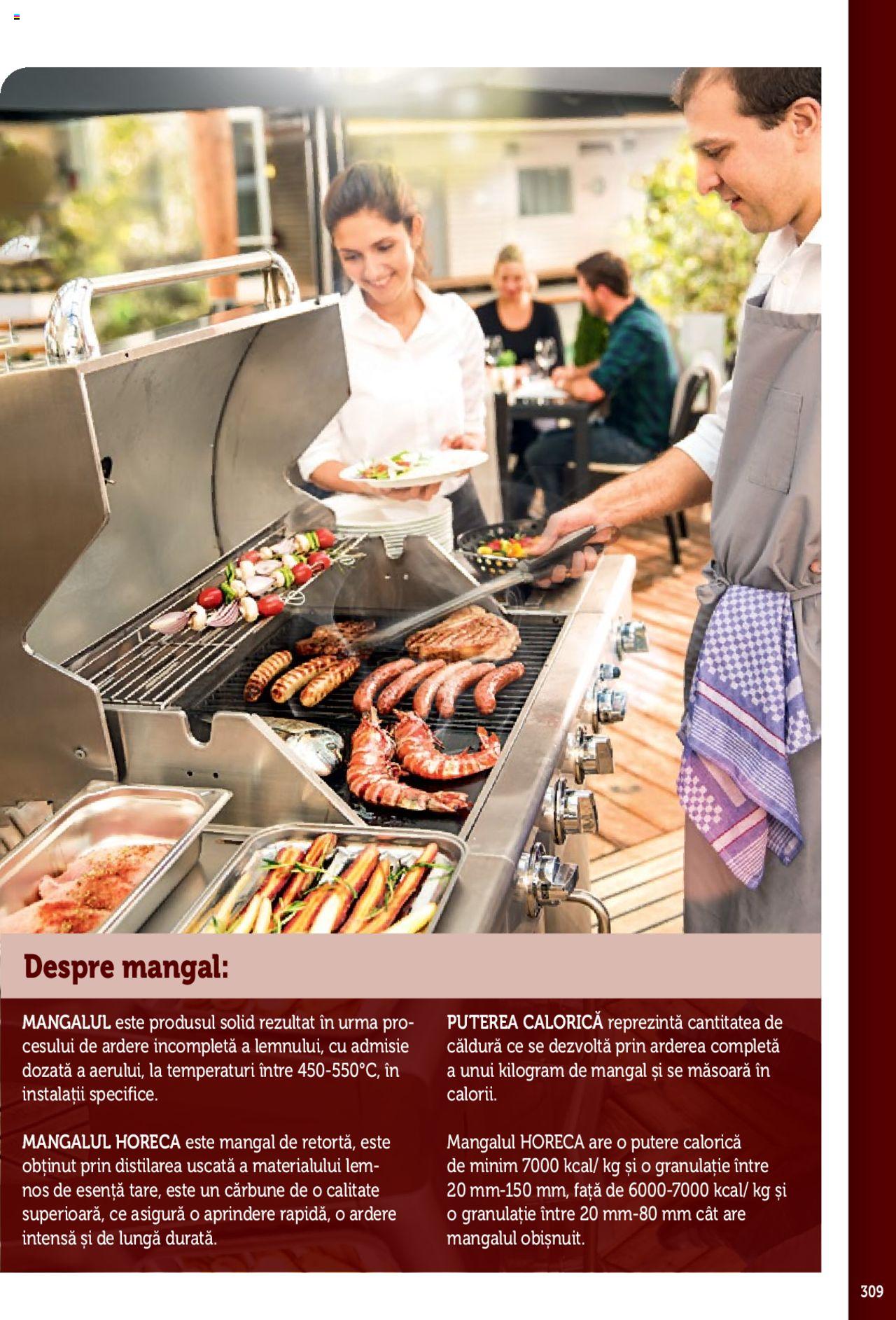 Catalog METRO 2 Iunie 2020 - 31 Ianuarie 2021 | Pagina 309