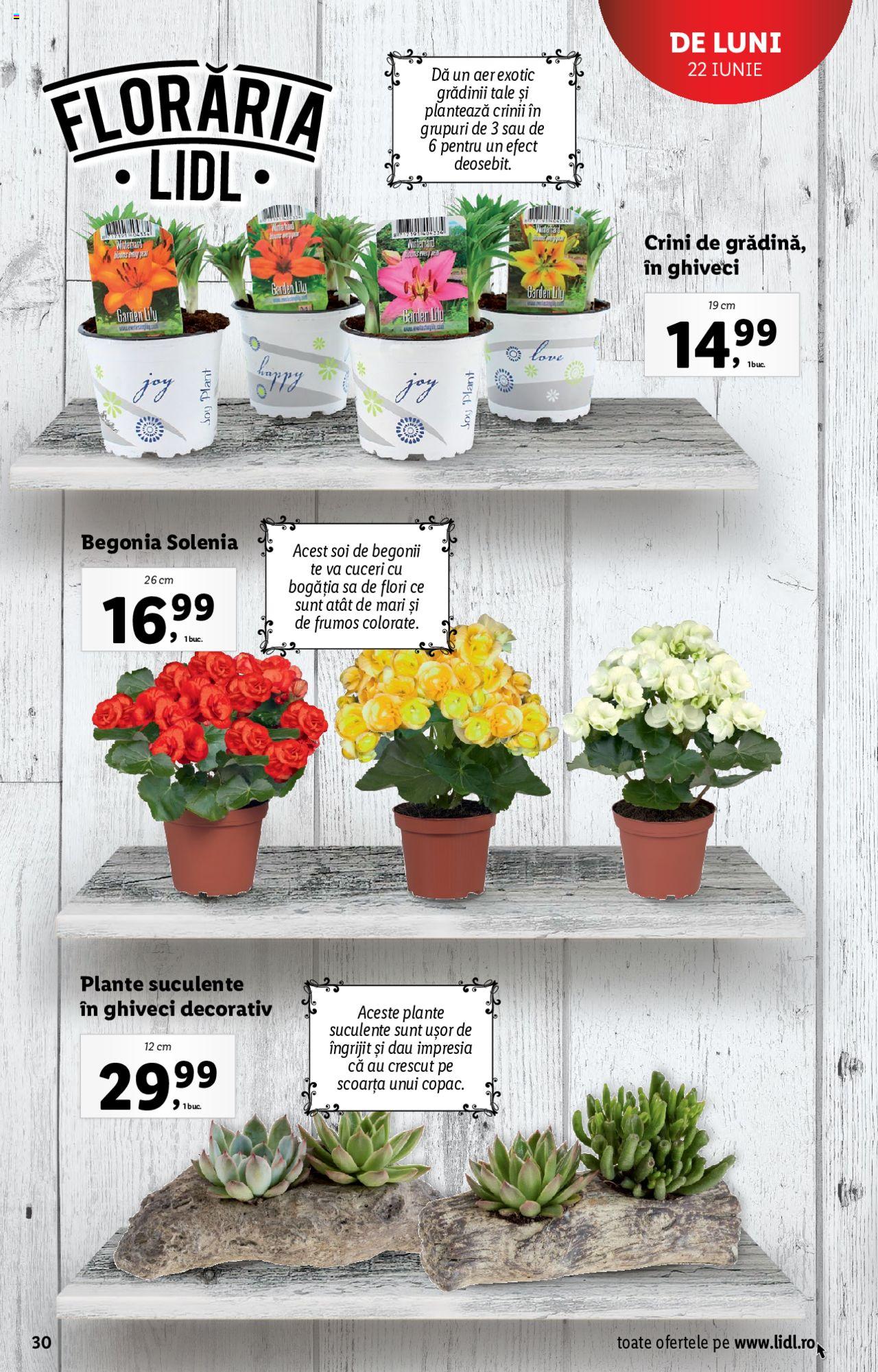 Catalog LIDL 22 - 28 Iunie 2020 | Pagina 30