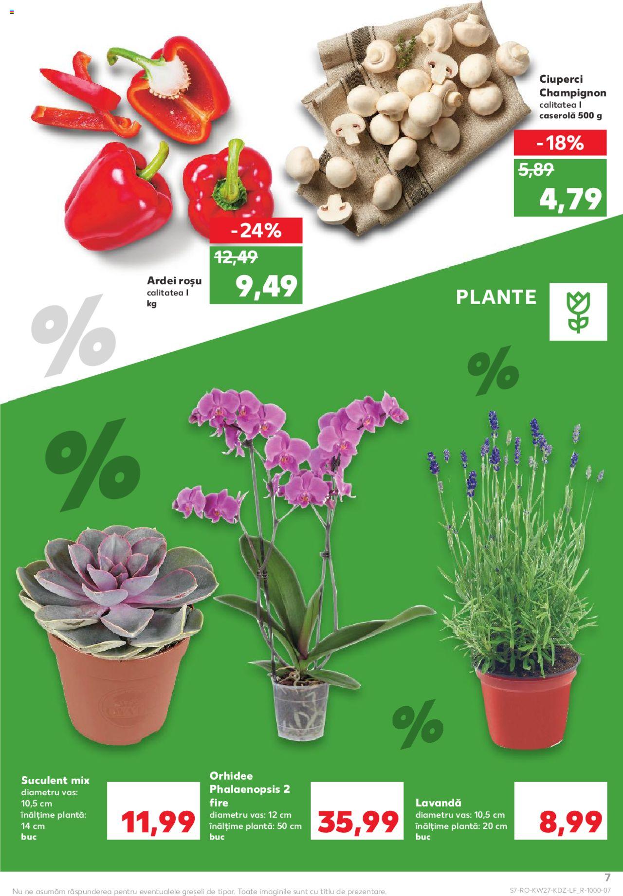 Catalog Kaufland 1 - 7 Iulie 2020 | Pagina 7