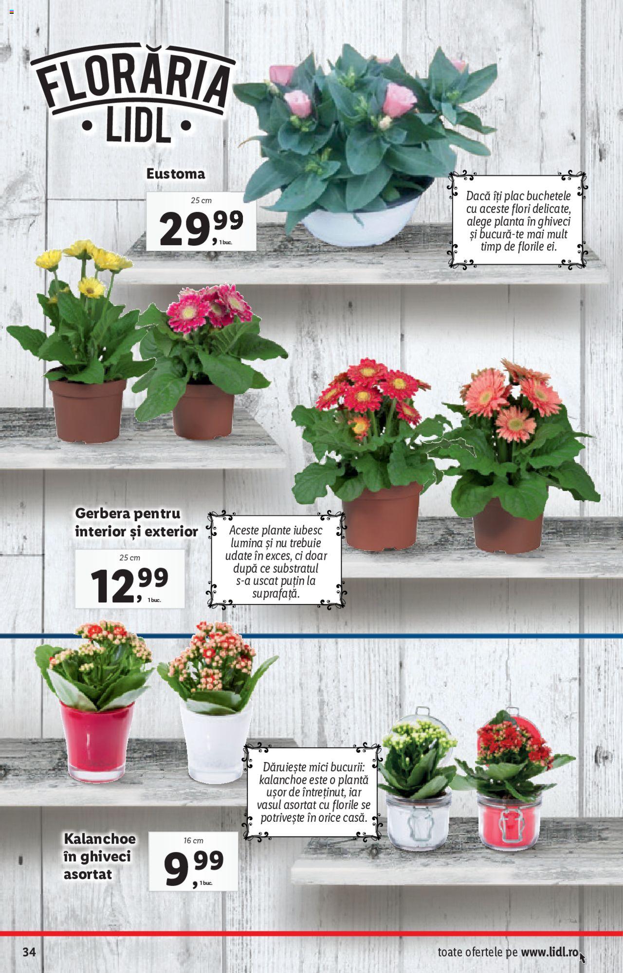 Catalog LIDL 6 - 12 Iulie 2020 | Pagina 34