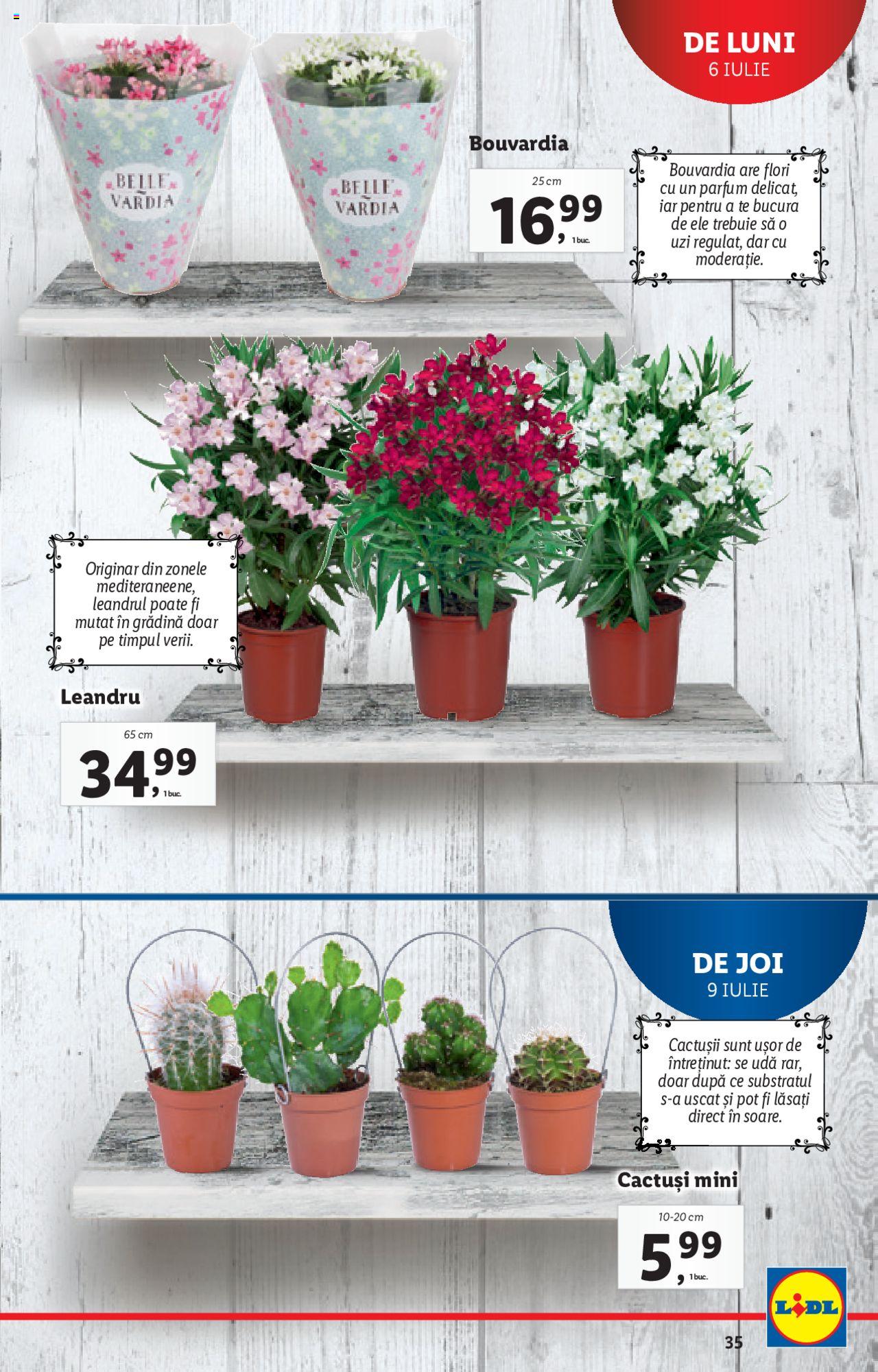 Catalog LIDL 6 - 12 Iulie 2020 | Pagina 35