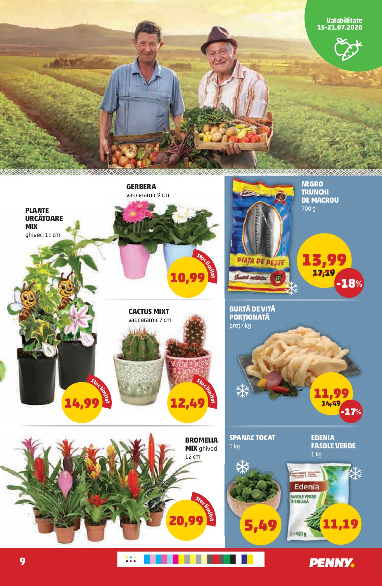 Catalog PENNY Market 15 - 21 Iulie 2020 | Pagina 9