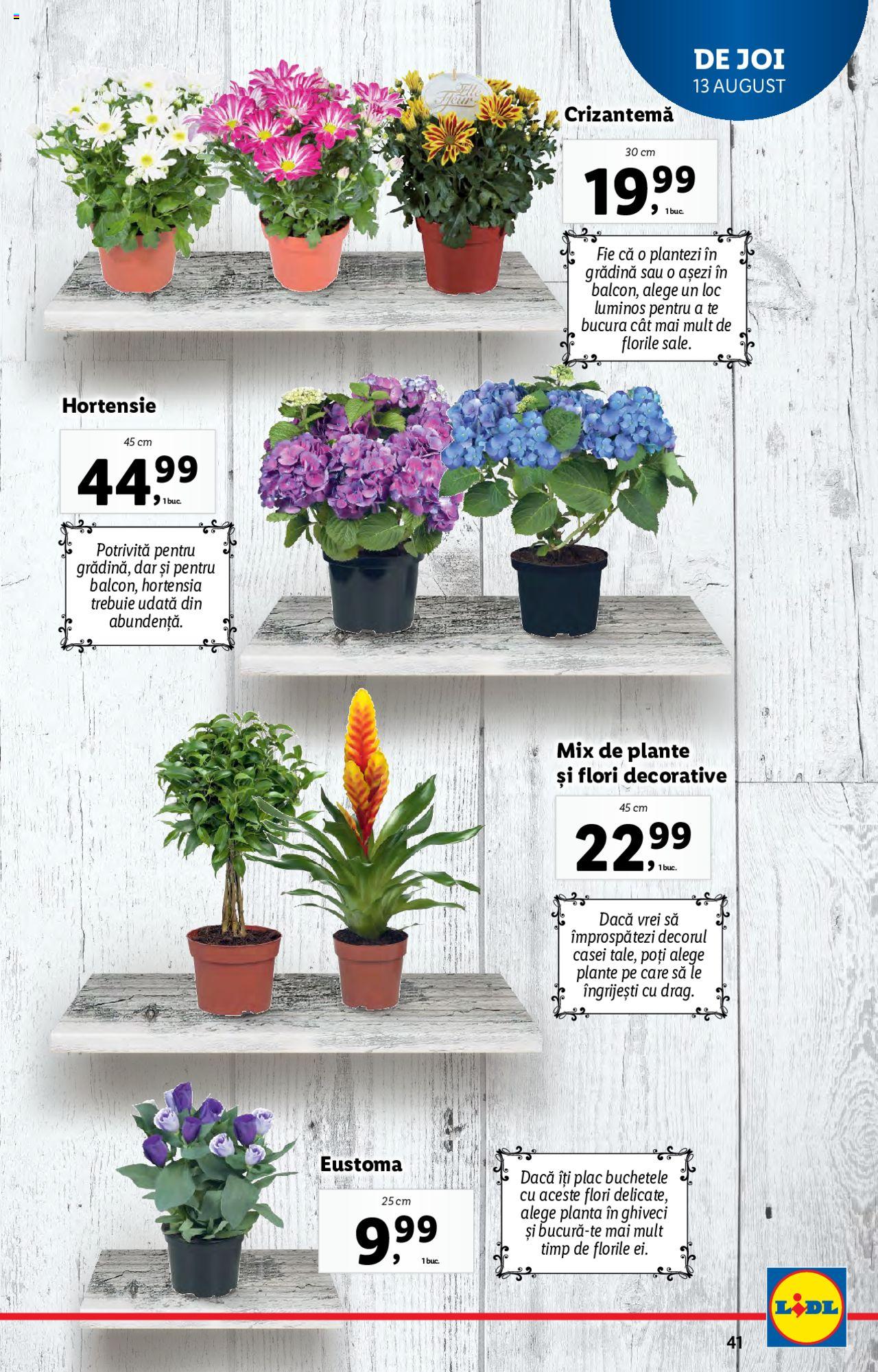 Catalog LIDL 10 - 16 August 2020 | Pagina 41